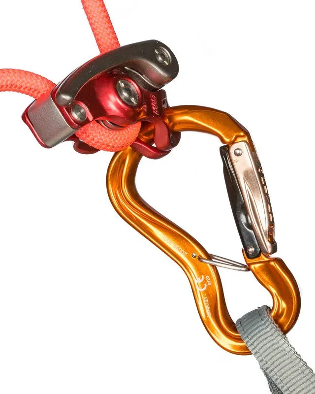 - Clepsydra Carabiner K10G Trackable L Grivel  Wide variety