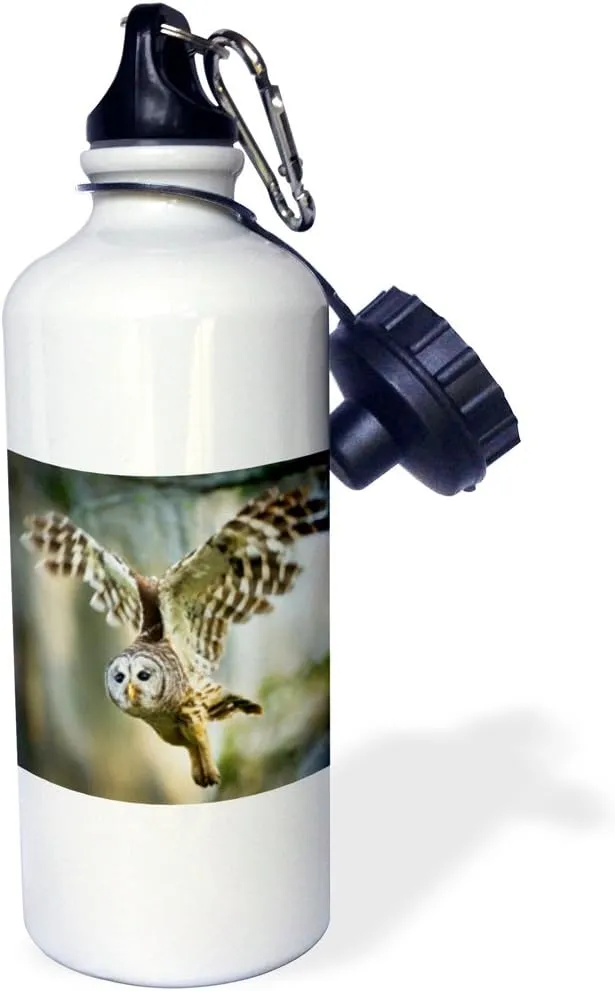 3dRose "Barred Owl (Strix varia) adult in flight-US44 LDI0907-Larry Ditto" Sports Water Bottle, 21 oz, White