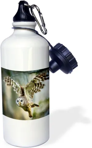 3dRose "Barred Owl (Strix varia) adult in flight-US44 LDI0907-Larry Ditto" Sports Water Bottle, 21 oz, White