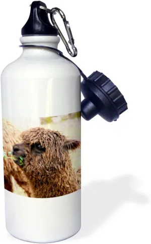 3dRose "Peru. Alpaca Huacaya wildlife, Awana Kancha SA17 KWI0099 Kymri Wilt" Sports Water Bottle, 21 oz, White