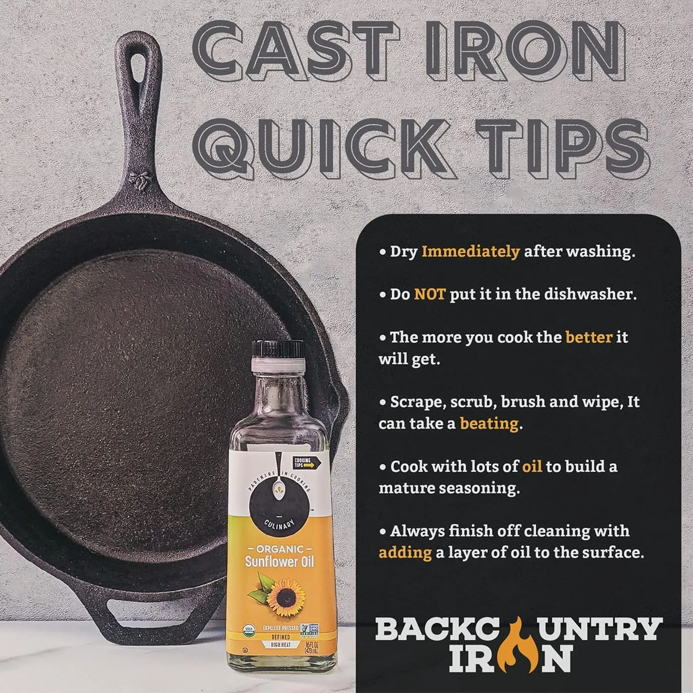 Backcountry Iron 10-1/4 Inch Round Medium Pre-Seasoned Cast Iron Skillet