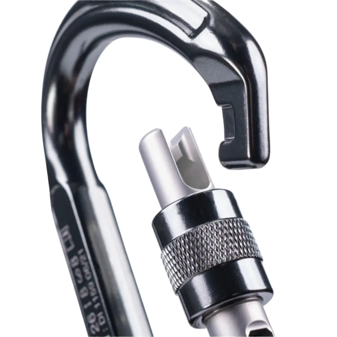 BEAL BE LOCK A VIS | CARABINER BLACK