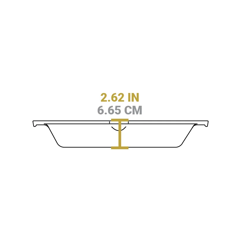 Cast Iron Dual-Handle Pan