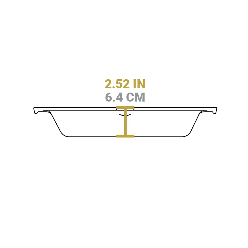 Cast Iron Dual-Handle Pan