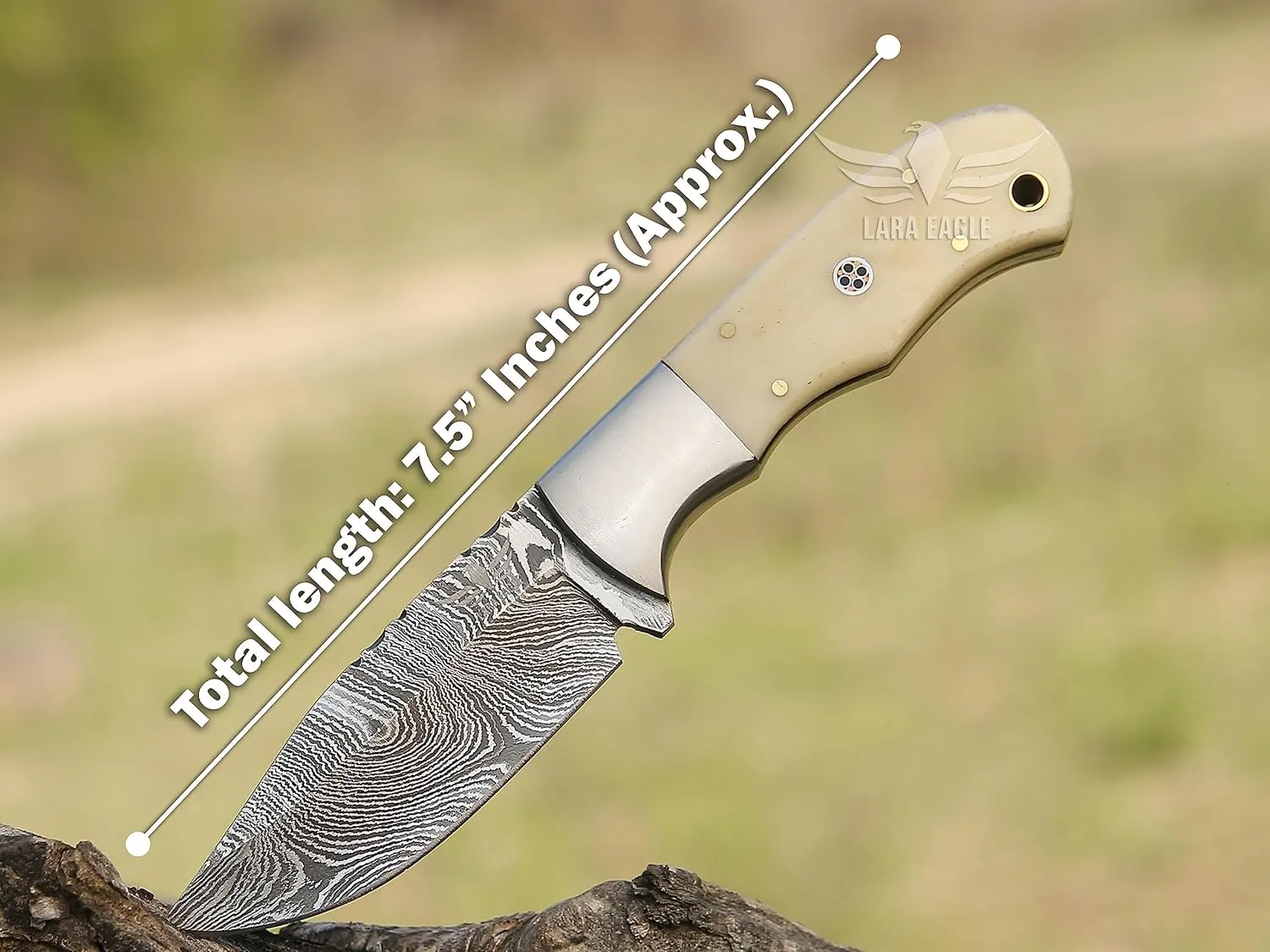 Damascus Hunting Knife - Fixed Blade Handmade Skinner with Sheath - 7.5 inch Survival Knife Great for Camping, Hunting - Camel bone Handle with mosaic pin, Gift for Husband, Anniversary, Dad (Camel bone)