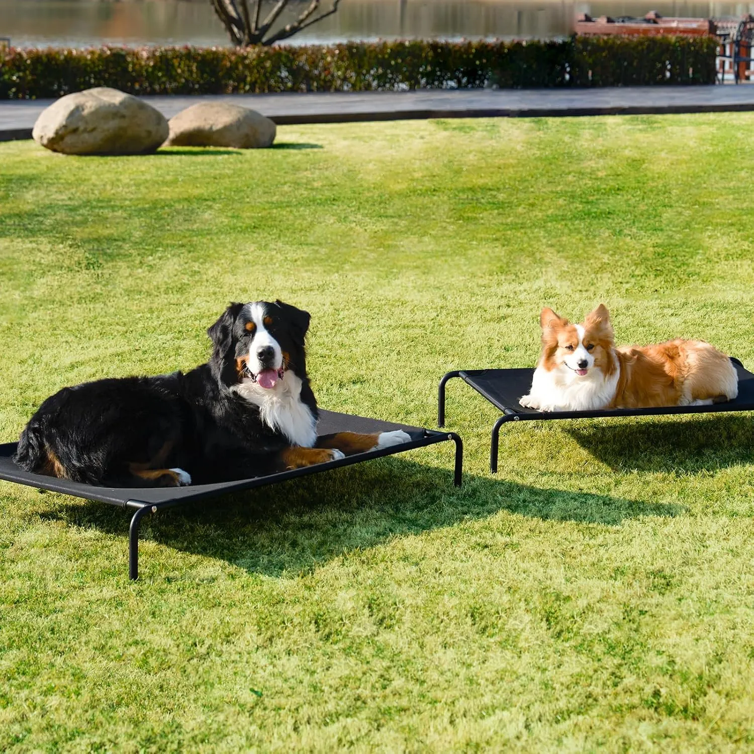 EHEYCIGA Elevated XL Dog Cot Bed, Raised Outdoor Dog Hammock for Extra Large XLarge Dogs, Lifted Pet Platform with Frame and Washable Waterproof Cooling Teslin Mesh and Anti-Slip Feet, 48x32 inch