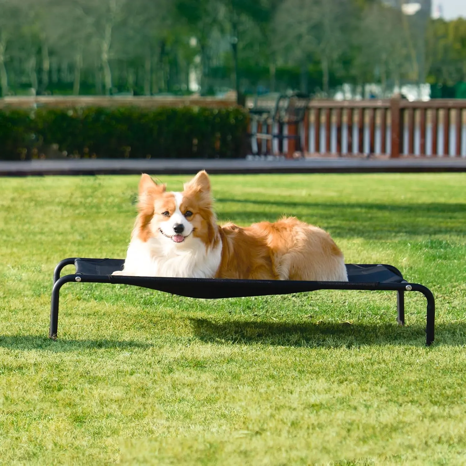 EHEYCIGA Elevated XL Dog Cot Bed, Raised Outdoor Dog Hammock for Extra Large XLarge Dogs, Lifted Pet Platform with Frame and Washable Waterproof Cooling Teslin Mesh and Anti-Slip Feet, 48x32 inch