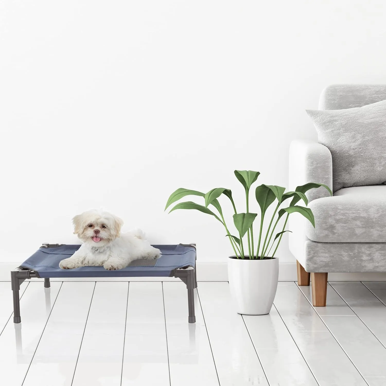 Elevated Dog Bed - 24.5x18.5-Inch Portable Pet Bed with Non-Slip Feet - Indoor/Outdoor Dog Cot or Puppy Bed for Pets up to 25lbs by PETMAKER (Blue)