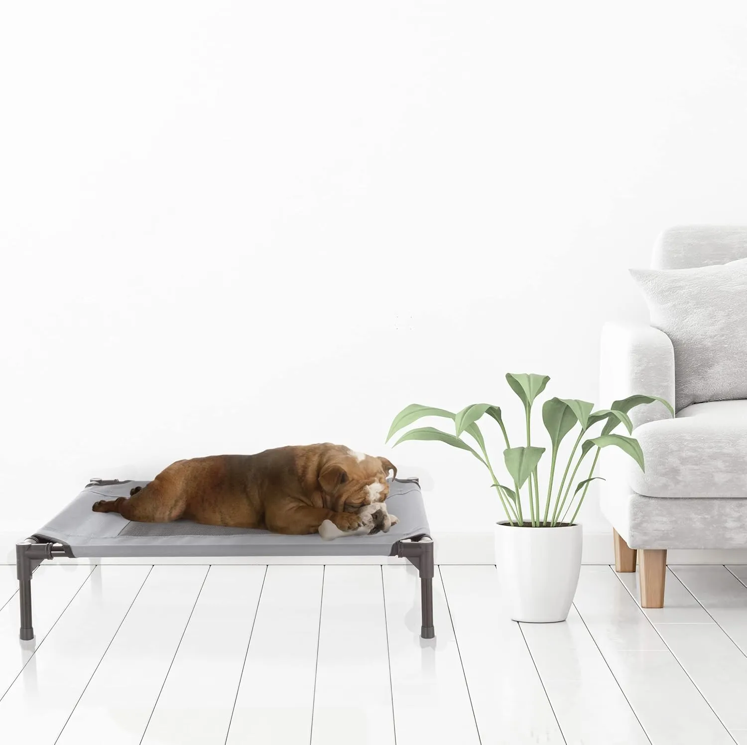 Elevated Dog Bed - 30x24-Inch Portable Pet Bed with Non-Slip Feet - Indoor/Outdoor Dog Bed or Puppy Cot for Pets up to 50lbs by PETMAKER (Gray)