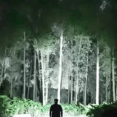 Lightweight COB Head Torch Flashlight USB Rechargeable Head Torch 3 Modes Head Light COB LED Head Lamp