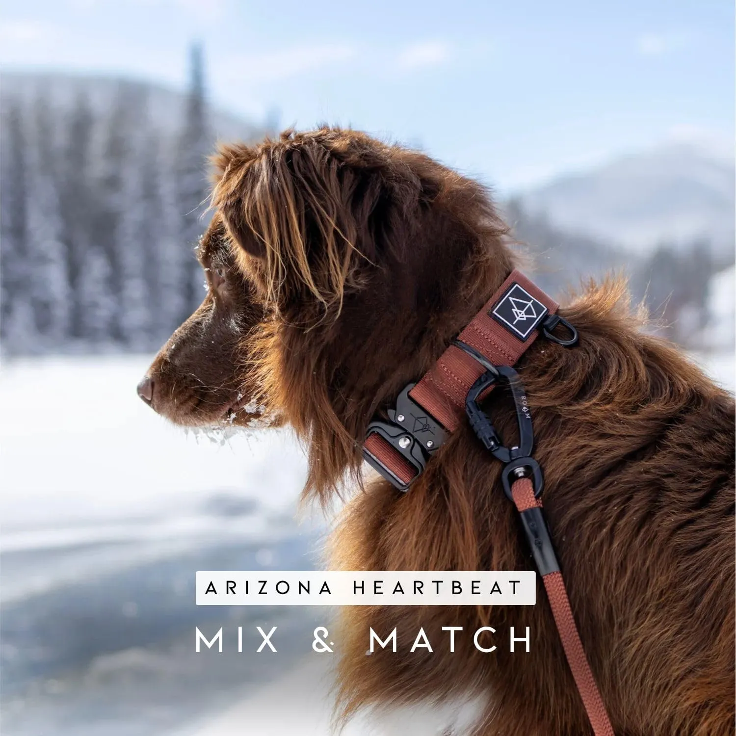 MADE TO ROAM Premium Explorer Leash - Climbing Rope Leash with Autolocking Aviation Aluminum Carabiner - Utah Glow, 4ft