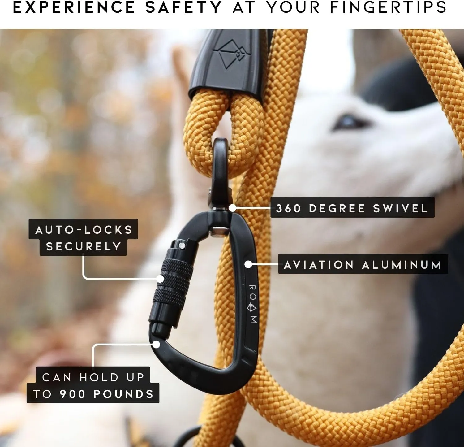 MADE TO ROAM Premium Explorer Leash - Climbing Rope Leash with Autolocking Aviation Aluminum Carabiner - Utah Glow, 4ft