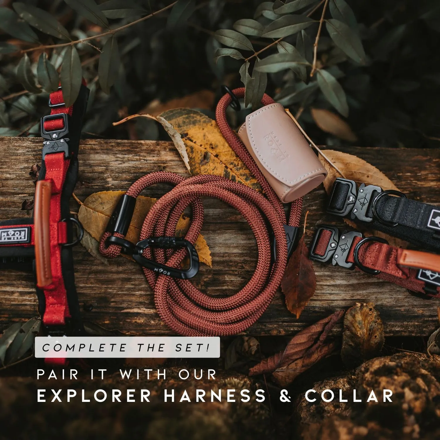 MADE TO ROAM Premium Explorer Leash - Climbing Rope Leash with Autolocking Aviation Aluminum Carabiner - Utah Glow, 4ft