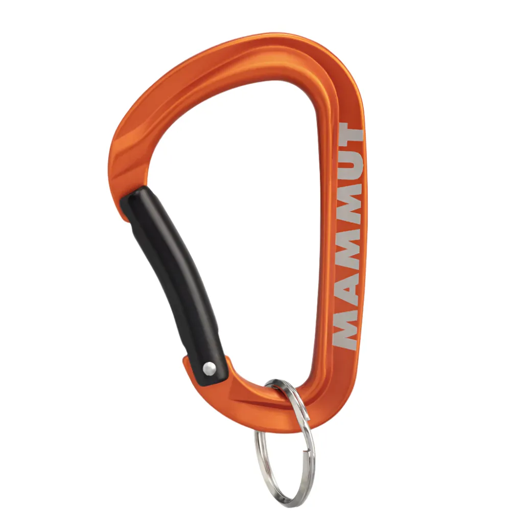 Mini Carabiner Workhorse Keylock