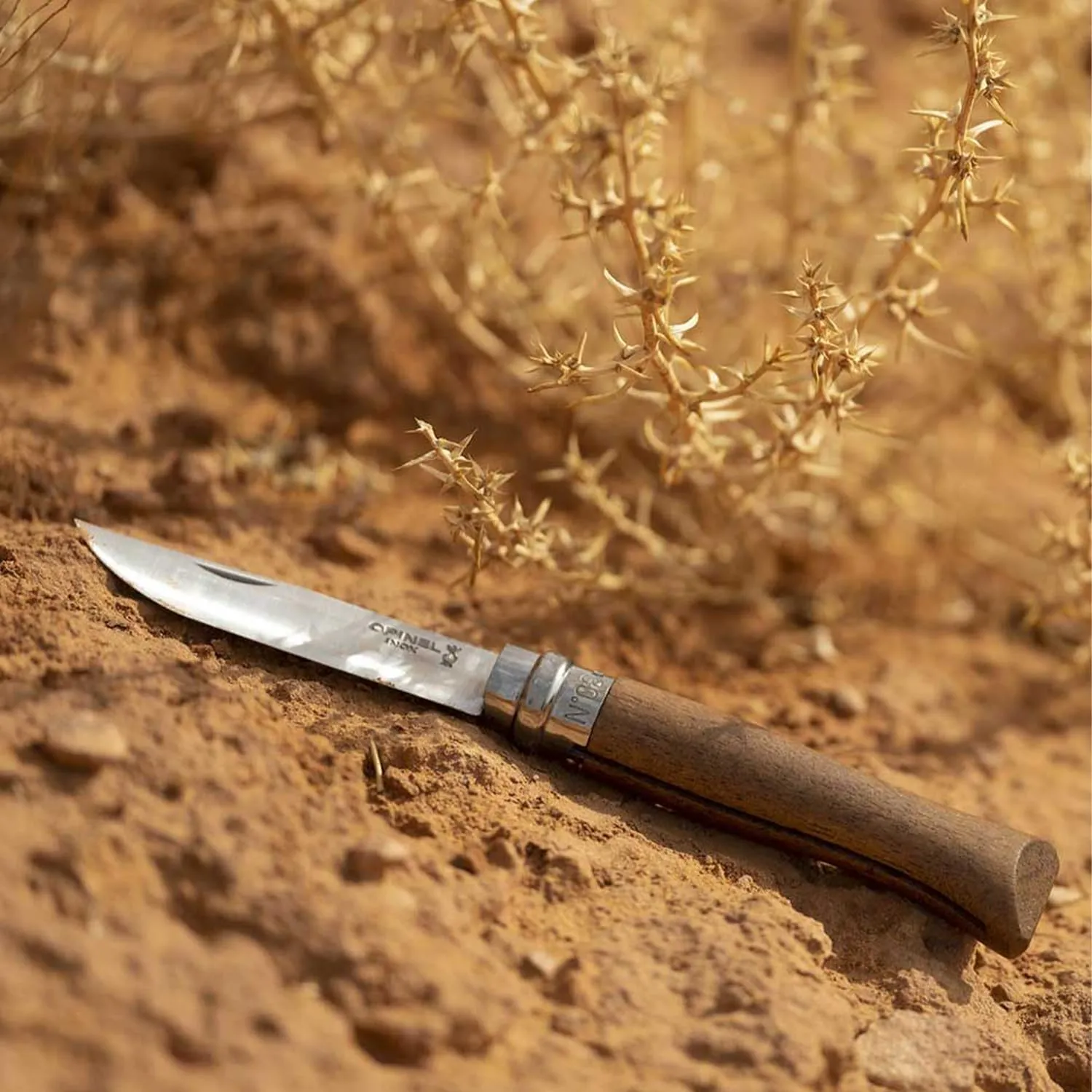 OPINEL No.06-No.09 Premium Woods, Stainless Steel Folding Pocket Knife, Made in France (No.06/Walnut)