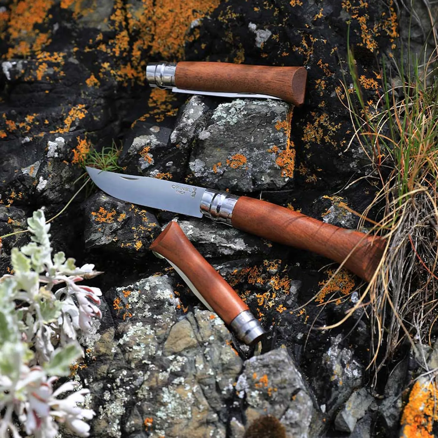 OPINEL No.06-No.09 Premium Woods, Stainless Steel Folding Pocket Knife, Made in France (No.06/Walnut)
