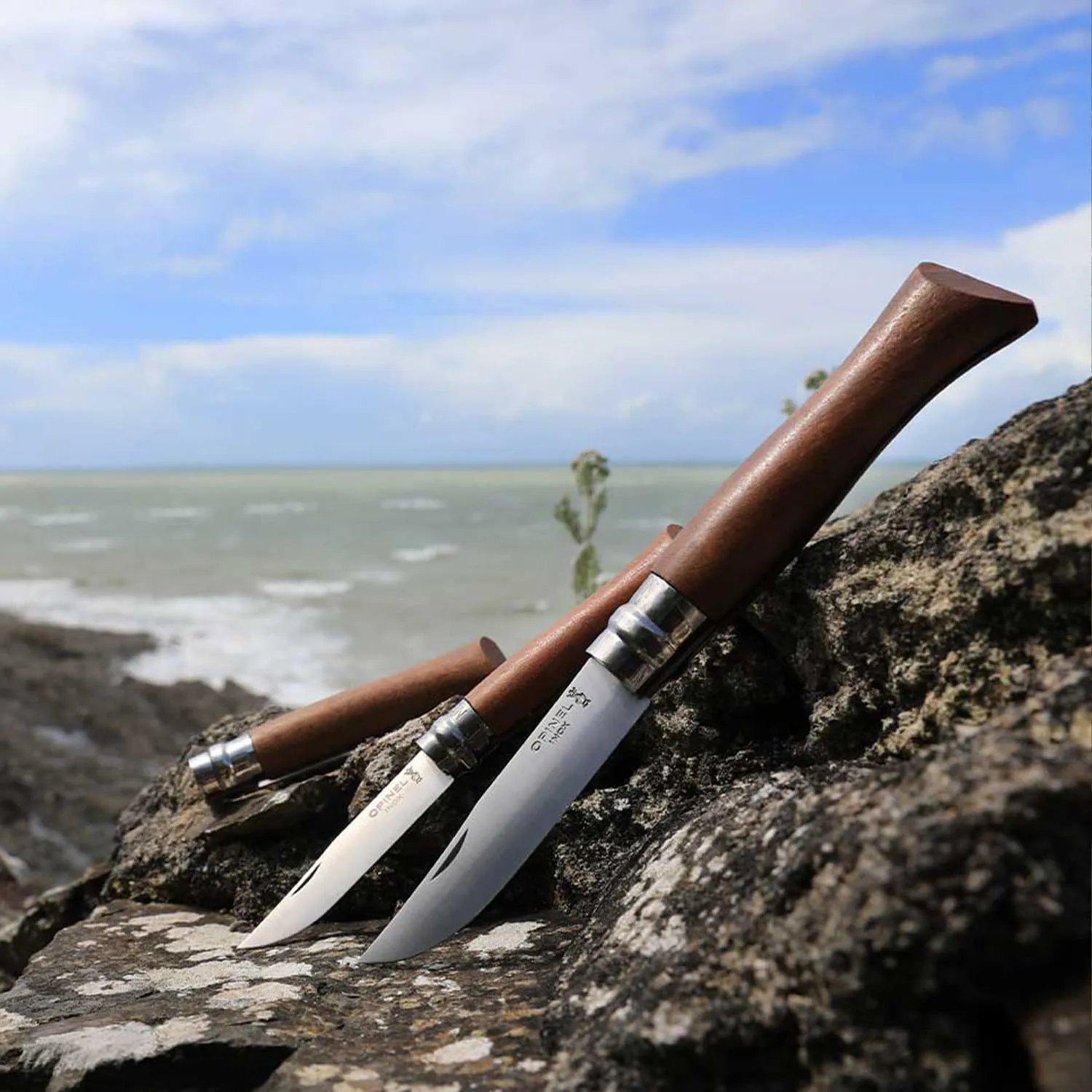 OPINEL No.06-No.09 Premium Woods, Stainless Steel Folding Pocket Knife, Made in France (No.06/Walnut)