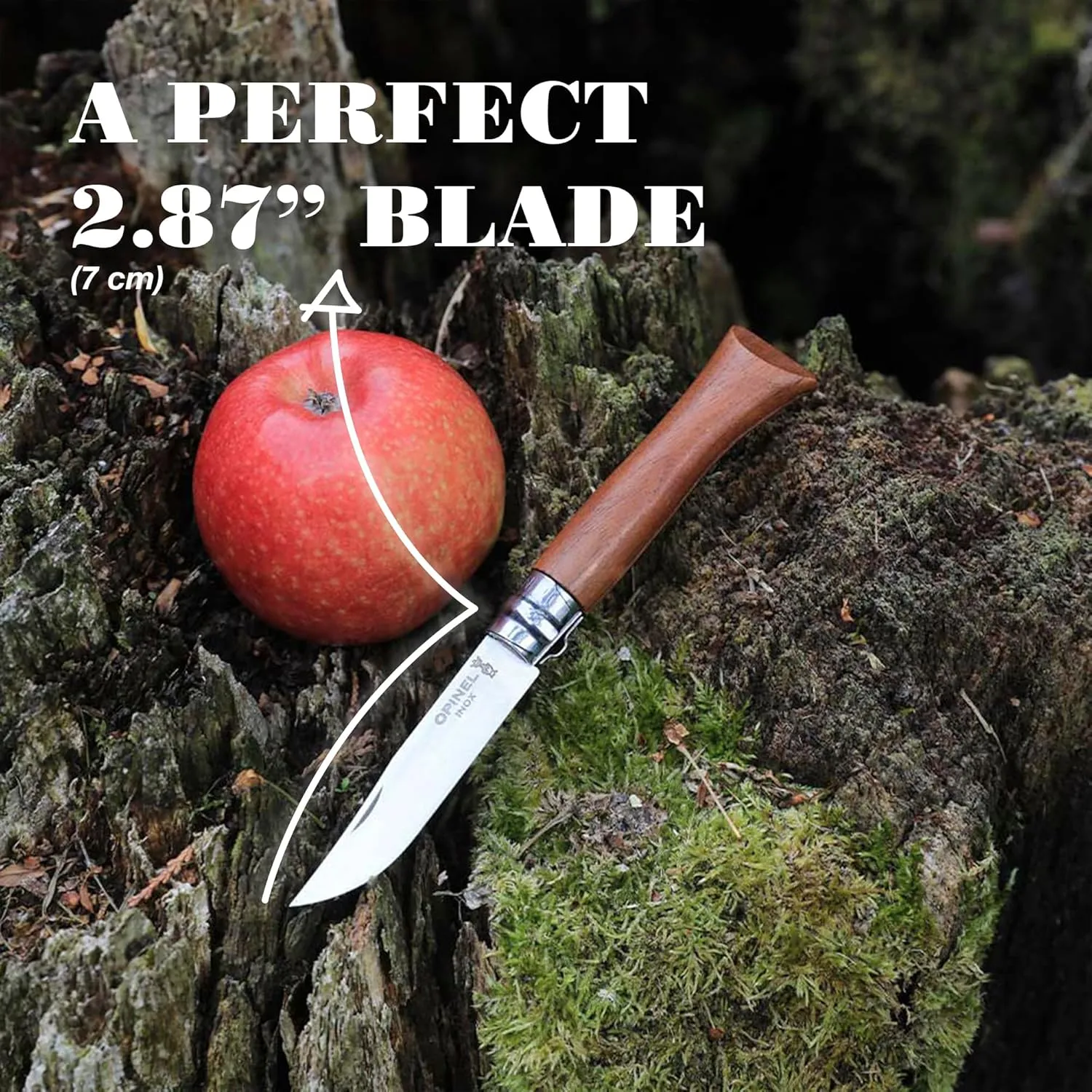 OPINEL No.06-No.09 Premium Woods, Stainless Steel Folding Pocket Knife, Made in France (No.06/Walnut)