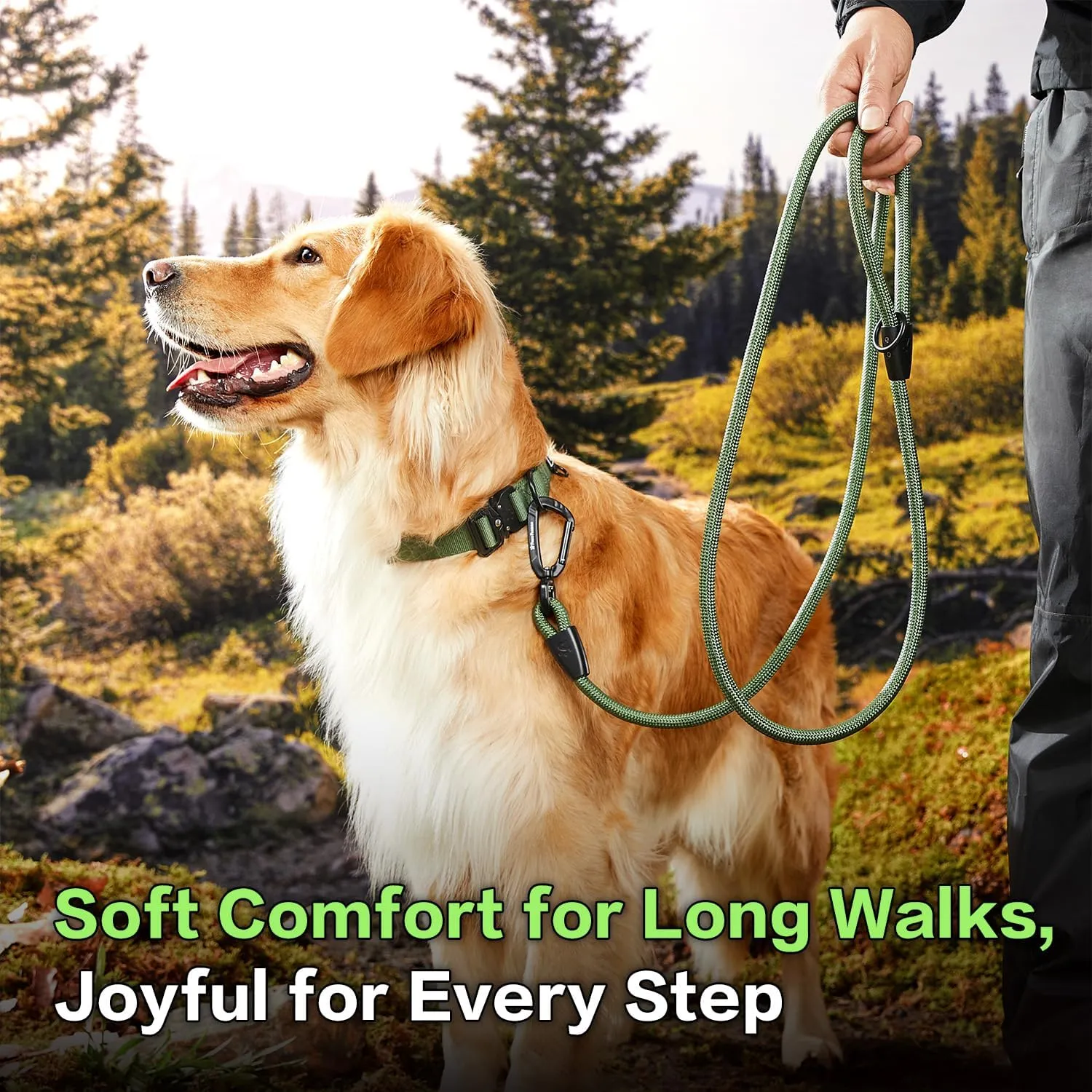 PawsPassion Rope Dog Leash 4 FT, 2-in-1 Heavy Duty Dog Leash with Seat Belt Buckle, Tangle Free 360° Swivel Aviation Aluminum Carabiner, All Metal Hardware, Alloy O-Ring (Evergreen)