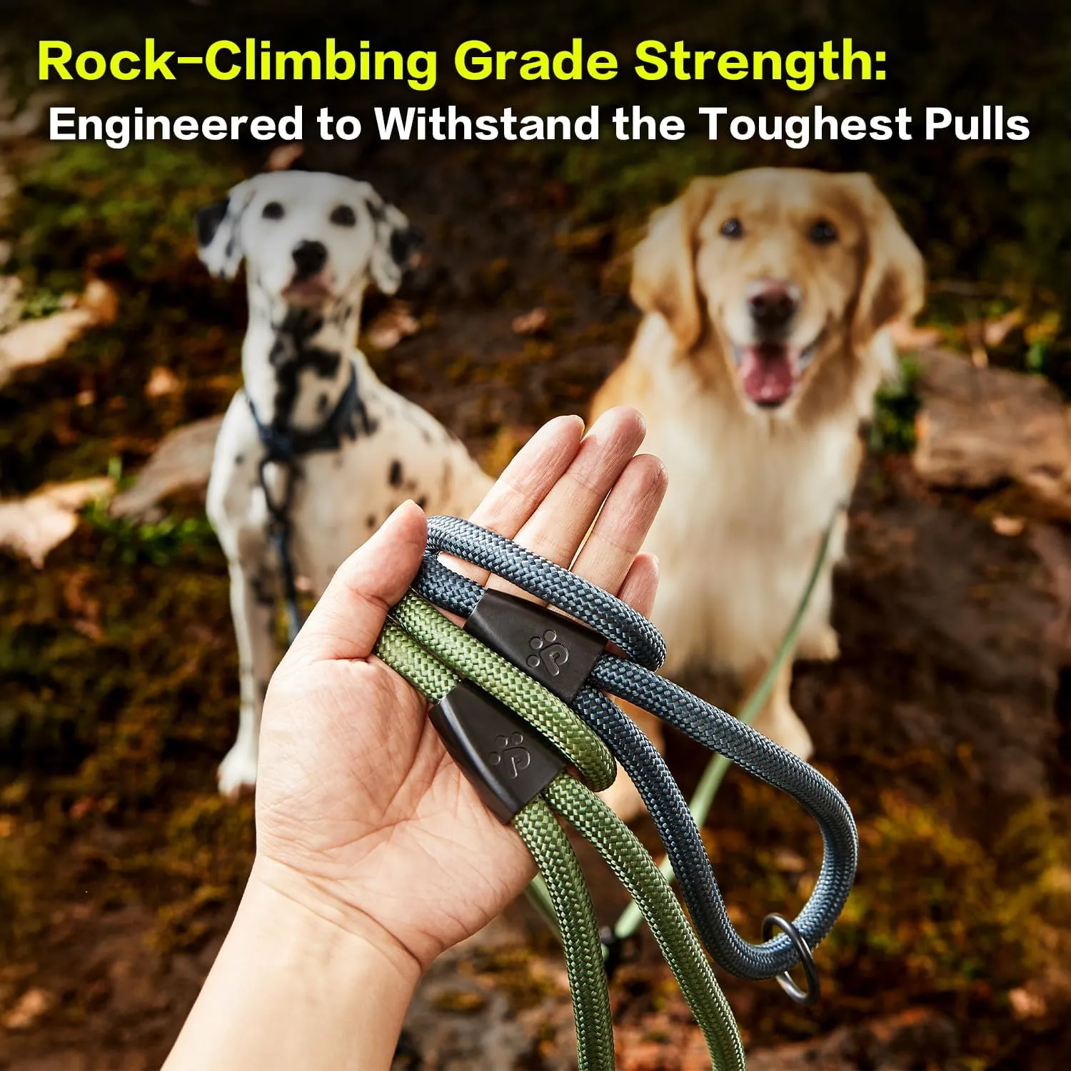 PawsPassion Rope Dog Leash 4 FT, 2-in-1 Heavy Duty Dog Leash with Seat Belt Buckle, Tangle Free 360° Swivel Aviation Aluminum Carabiner, All Metal Hardware, Alloy O-Ring (Evergreen)