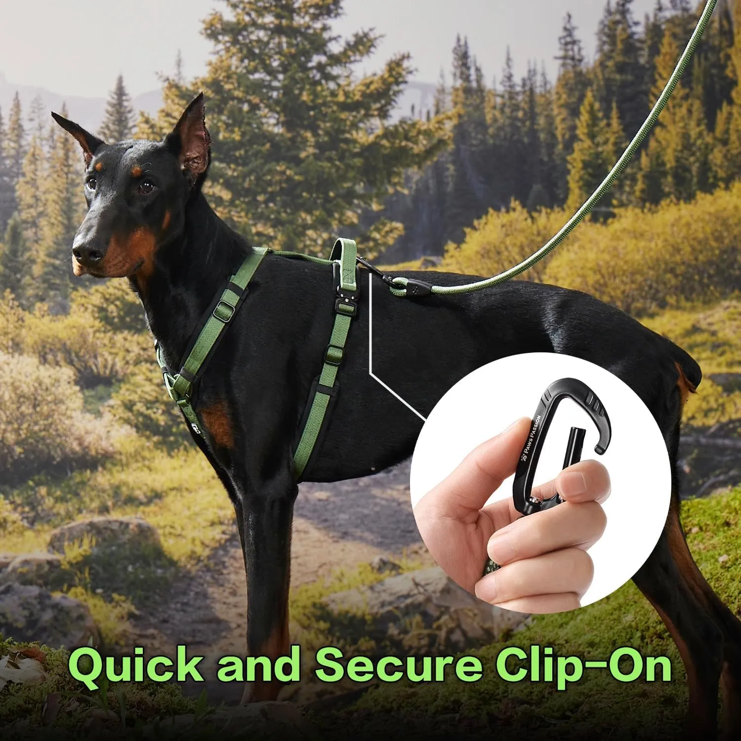 PawsPassion Rope Dog Leash 4 FT, 2-in-1 Heavy Duty Dog Leash with Seat Belt Buckle, Tangle Free 360° Swivel Aviation Aluminum Carabiner, All Metal Hardware, Alloy O-Ring (Evergreen)