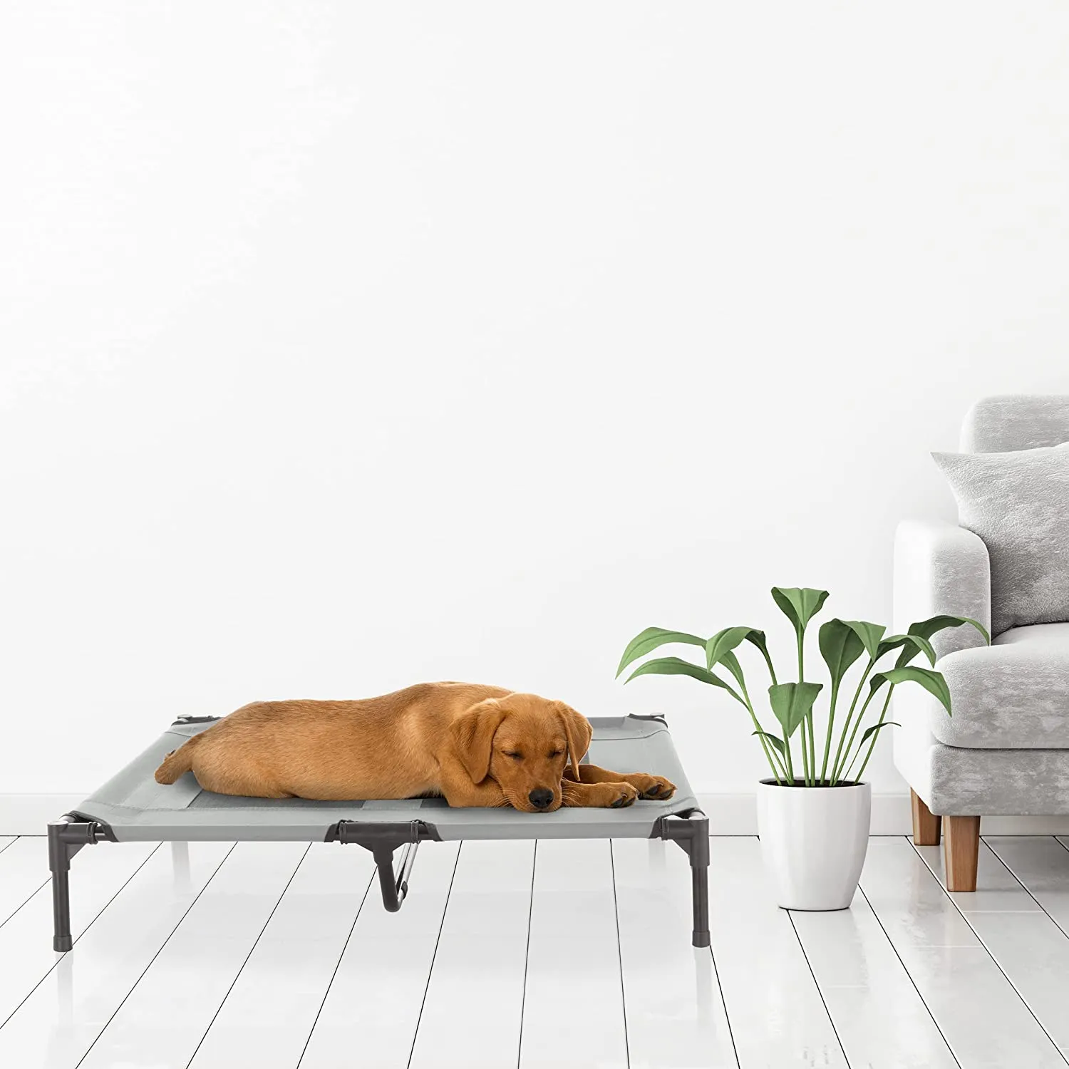 Portable Elevated Dog Bed