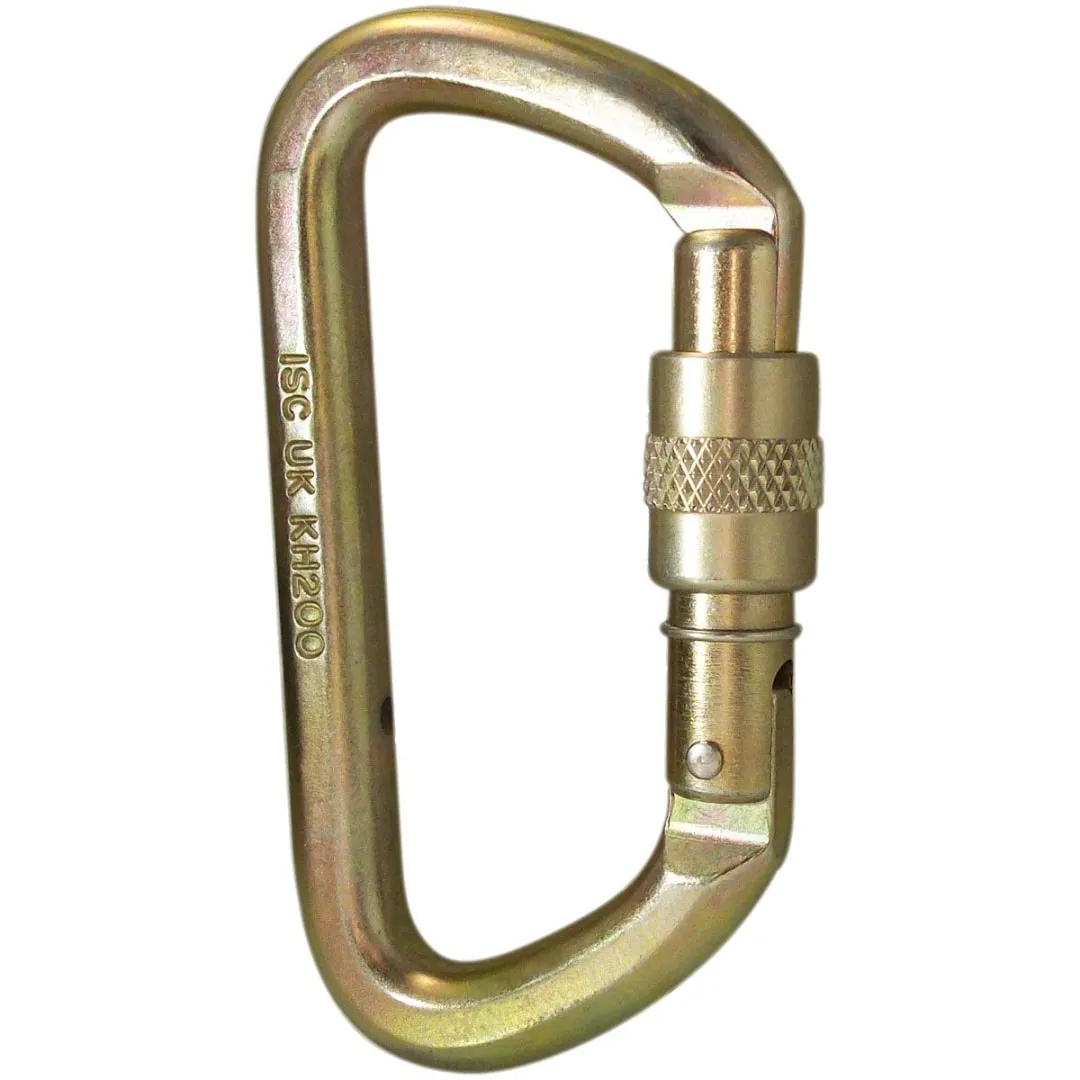 Stainless Steel Screwlock Carabiner