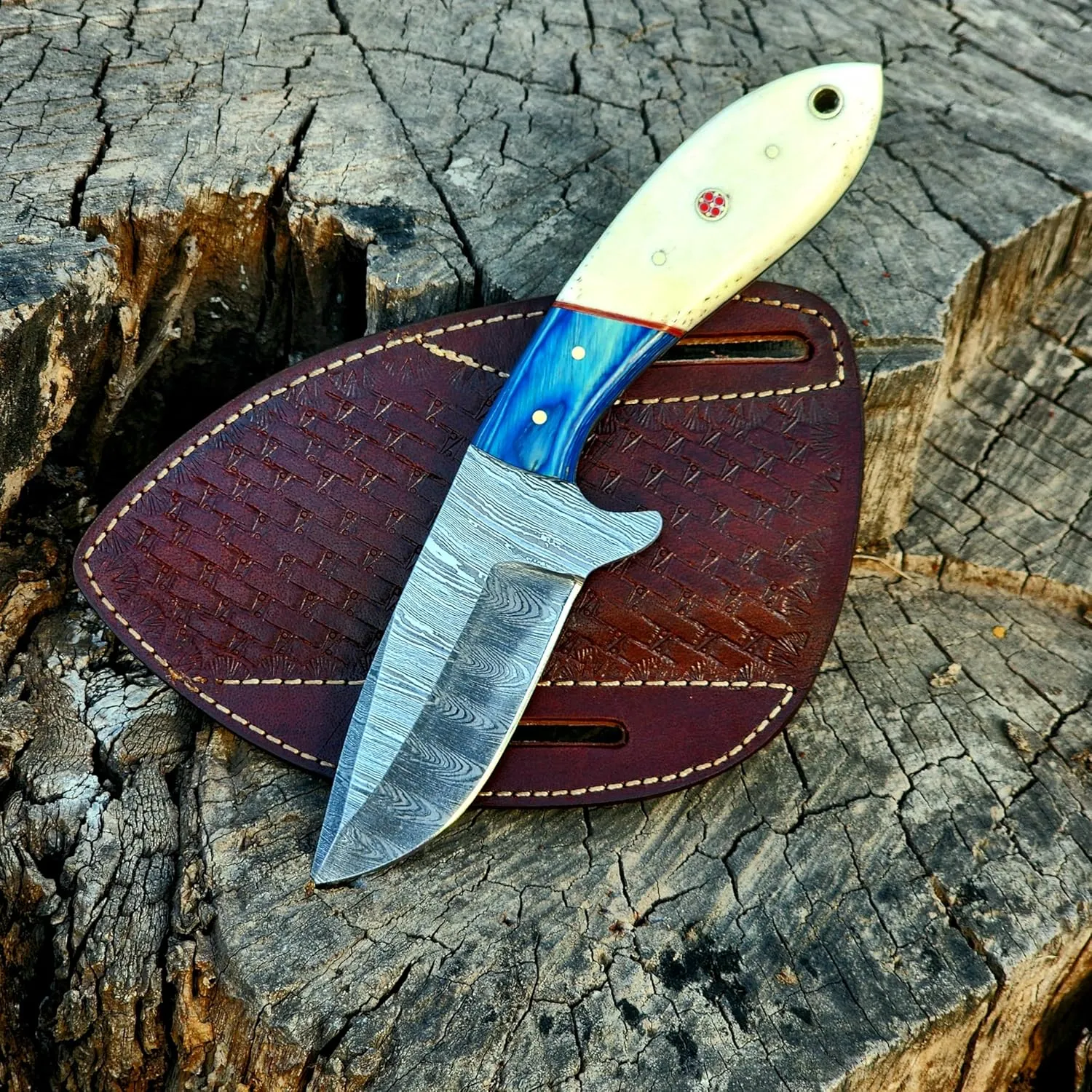 Wolf Cut Handmade Damascus Bull Cutter Knife Cowboy Knife Wood & Bone Handle Utility Knife EDC Fixed Blade Knife For Men women sharp Camping Knives Bushcraft Knife Classic Pancake leather Sheath (Blue Wood bone)