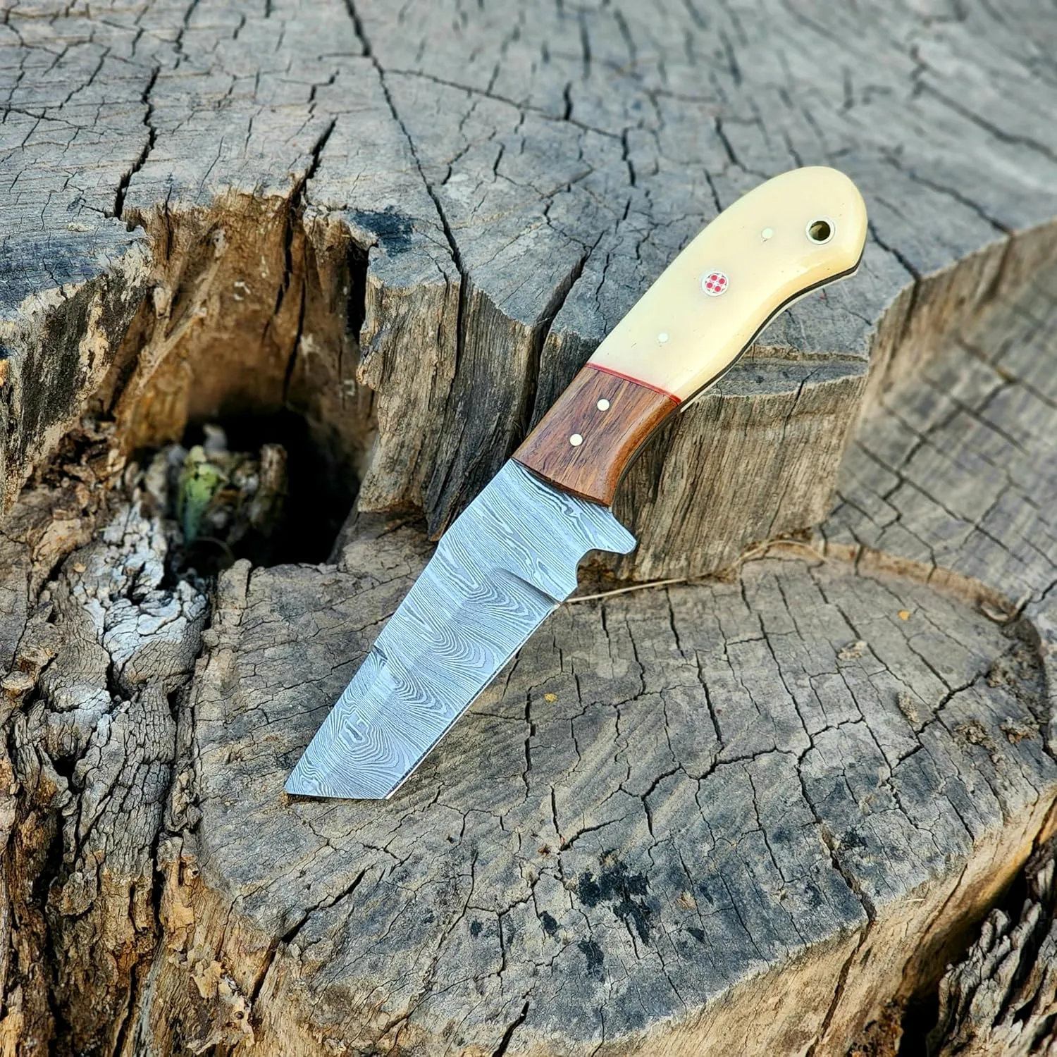 Wolf Cut Handmade Damascus Bull cutter knife lineman hawkbill knife Outdoor Hunting knife, 7.5" inch EDC Fixed blade electrician Knife, Cowboy knife, Utility Knife With Classic Pancake leather Sheath (Rose wood bone)