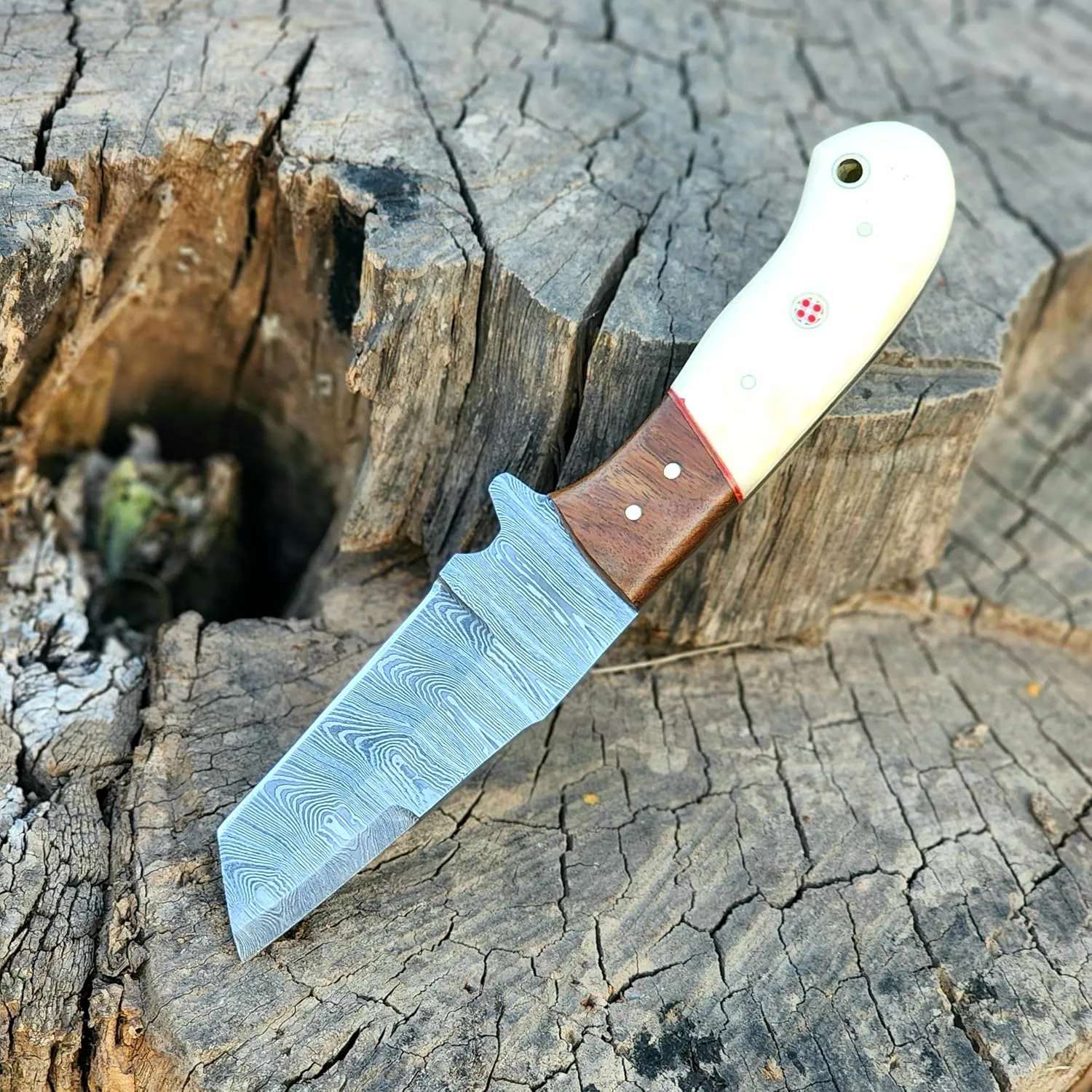 Wolf Cut Handmade Damascus Bull cutter knife lineman hawkbill knife Outdoor Hunting knife, 7.5" inch EDC Fixed blade electrician Knife, Cowboy knife, Utility Knife With Classic Pancake leather Sheath (Rose wood bone)